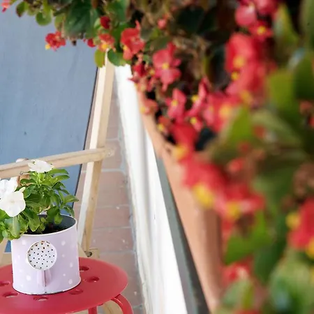 B&B Villa Le Querce
