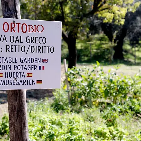 B&B Villa Le Querce Bed & Breakfast Battipaglia